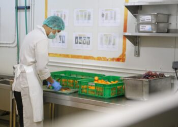 100 HARI PRABOWO-GIBRAN: Kritik Menguak, MBG Jalan Terus