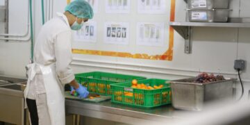 100 HARI PRABOWO-GIBRAN: Kritik Menguak, MBG Jalan Terus