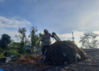 Rumput Lautku Sayang, Rumput Lautku Malang