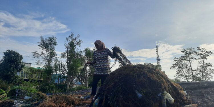 Rumput Lautku Sayang, Rumput Lautku Malang