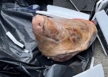 Teror ke Tempo, Kegiatan Jurnalistik Rentan Alami Kekerasan