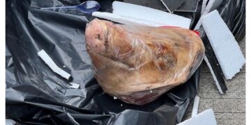 Teror ke Tempo, Kegiatan Jurnalistik Rentan Alami Kekerasan