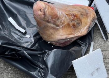 Tempo Mendapat Intimidasi Kiriman Kepala Babi