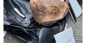 Tempo Mendapat Intimidasi Kiriman Kepala Babi