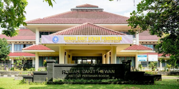 MUDIK 2025: RSHP IPB University Siap Menampung Hewan Peliharaan