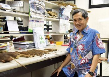 BANJIR 2025: Waspada, Leptospirosis Masih Mengintai