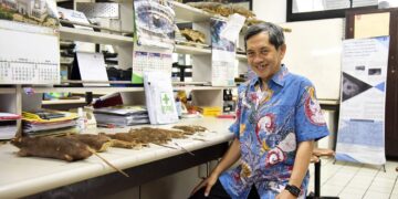 BANJIR 2025: Waspada, Leptospirosis Masih Mengintai