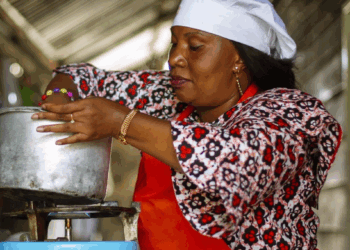 TRANSISI ENERGI: Pentingnya Desentralisasi Pembiayaan Energi