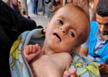 Kelaparan di Gaza, WHO Kecam Tindakan Pemiskinan