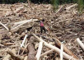 Jelang Ramadan, Korban Banjir Sumatera Masih di Tenda Pengungsi