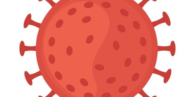 Indonesia Wilayah Berisiko Virus Nipah, Begini Gambaran Situasinya