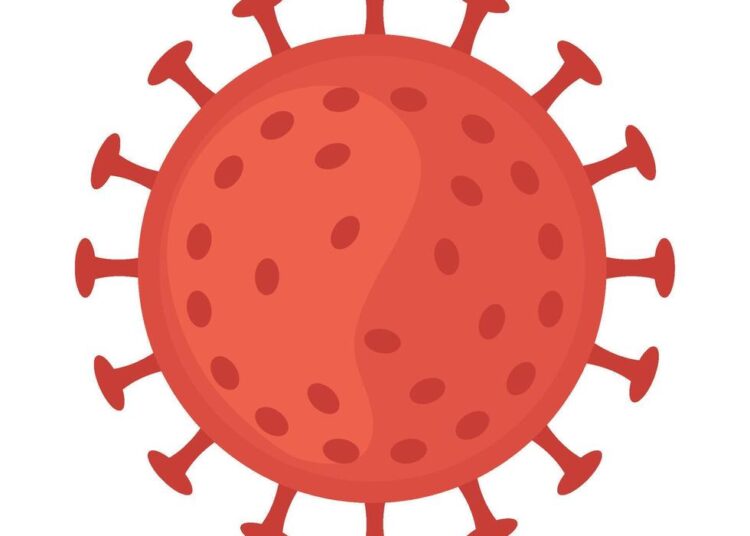 Indonesia Wilayah Berisiko Virus Nipah, Begini Gambaran Situasinya