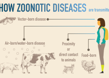 WHO Apresiasi Indonesia dalam One Health untuk Kurangi Risiko Penyakit Zoonosis Prioritas