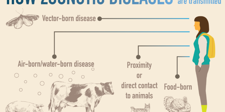 WHO Apresiasi Indonesia dalam One Health untuk Kurangi Risiko Penyakit Zoonosis Prioritas