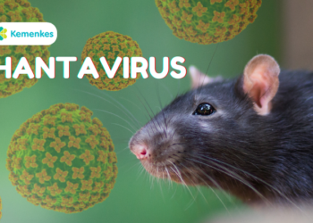 Klaster Hantavirus Kapal Pesiar Berbendera Belanda Lintas Negara