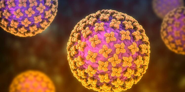 Pandemi: Berikutnya Hantavirus?