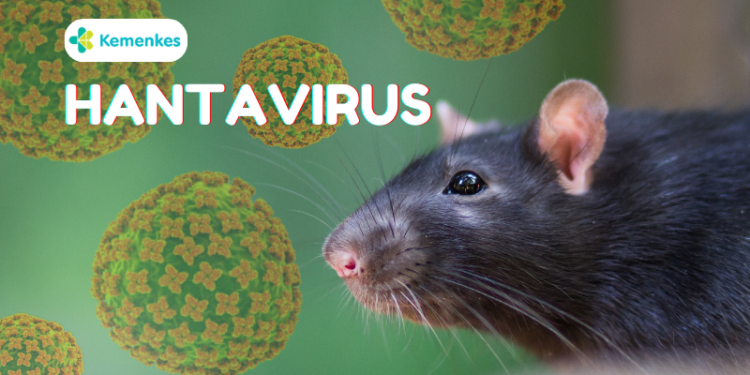 Klaster Hantavirus Kapal Pesiar Berbendera Belanda Lintas Negara
