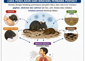 Antisipasi Peningkatan Kasus, Perkuat Kewaspadaan Hantavirus