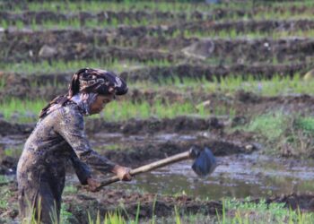 Kisah Masyarakat Bujang Raba Hasilkan Rp3,5 Miliar dari Menjaga Hutan