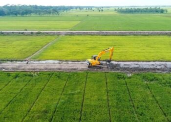 Walhi Bongkar Klaim Swasembada dan Penurunan Harga Beras