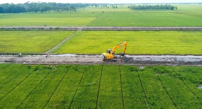Walhi Bongkar Klaim Swasembada dan Penurunan Harga Beras