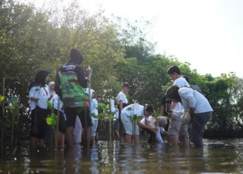 Tanam Mangrove dan Lepas Tukik di Pesisir Bantul