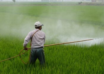 Ancam Ekosistem, Pemerintah dan Masyarakat Sipil Tekan Penggunaan Pestisida HHPs