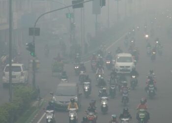 Cerita Kabut Asap Karhutla Mencekik Napas Mereka yang Rentan