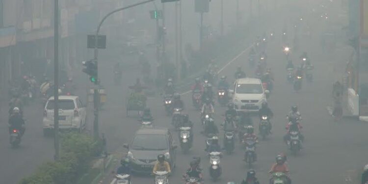 Cerita Kabut Asap Karhutla Mencekik Napas Mereka yang Rentan