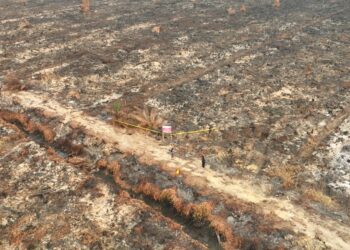 Pengawas Usut 42 Perusahaan Terduga Pembakar Lahan di Sumatera dan Kalimantan