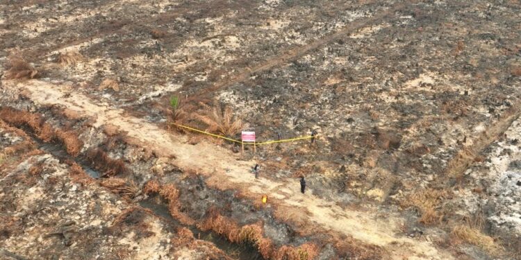 Pengawas Usut 42 Perusahaan Terduga Pembakar Lahan di Sumatera dan Kalimantan