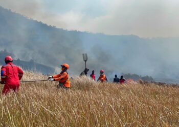 Karhutla Melanda Kawasan Gunung Bromo
