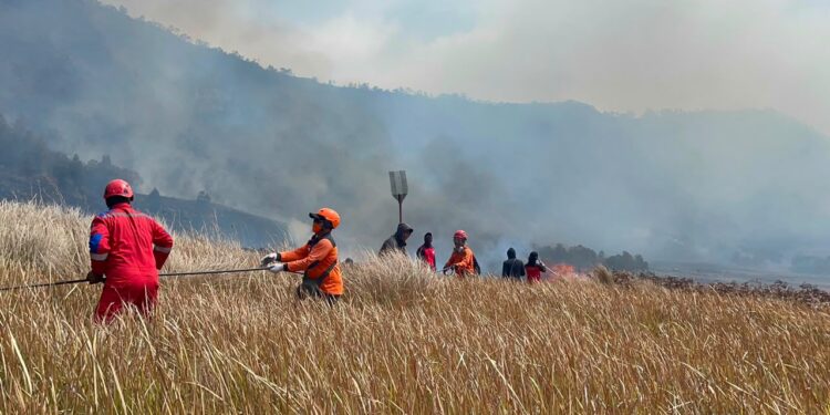 Karhutla Melanda Kawasan Gunung Bromo