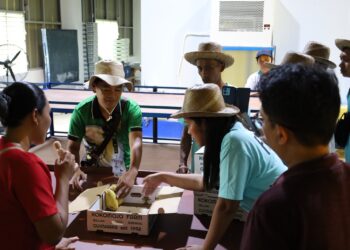 Petani Mangga Indonesia Pelajari Praktik Baik di Filipina, Difasilitasi FAO