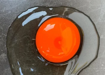 Mahasiswa UGM Olah Sampah Dapur Menjadi Pakan Ayam Nutrisi Tinggi