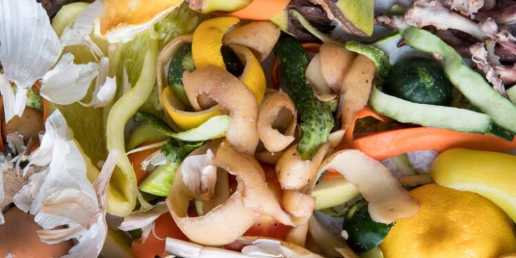 Food Loss and Waste Hortikultura Jangkau 31.80 Persen, Perlunya Manajemen Pascapanen Presisi