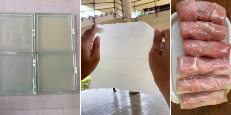 Peneliti IPB University Ciptakan Formula Bioplastik Berbahan Pelepah Pisang