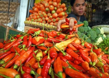 Harga Beras dan Cabai Tinggi, Perbaiki Rantai Pasok Pangan