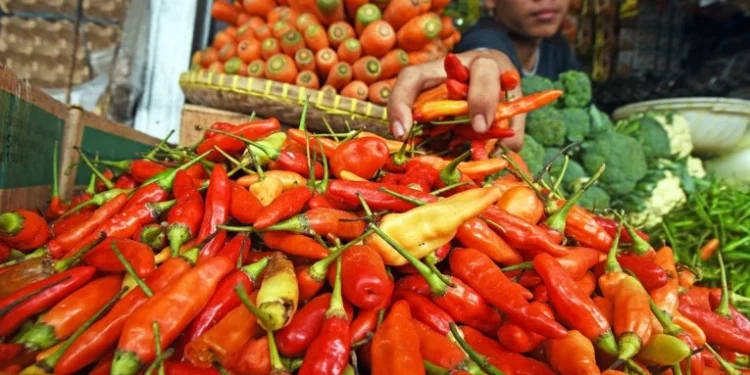 Harga Beras dan Cabai Tinggi, Perbaiki Rantai Pasok Pangan