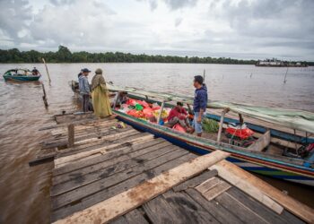 Hari Pangan Sedunia, FAO Serukan Peningkatan Inovasi untuk Menjamin Pangan Sehat