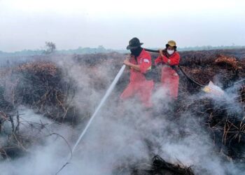 Hujan Mulai Mengguyur, Pemerintah Klaim Hotspot Turun
