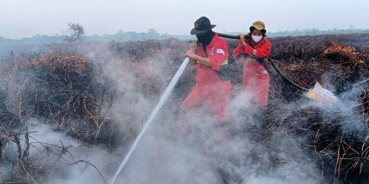 Hujan Mulai Mengguyur, Pemerintah Klaim Hotspot Turun