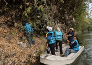 Mengenali Ikan Endemik Kali Surabaya Sembari Bersihkan Sungai dan Tanam Pohon
