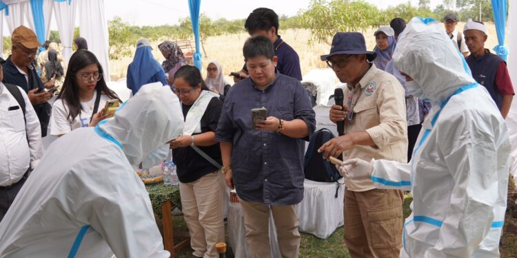 Petani Mangga Filipina Pelajari Pengendalian Hama di Indonesia
