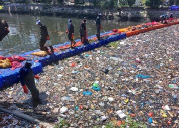 Kebiasaan Ikan Makan Plastik Picu Kepunahannya di Kali Surabaya