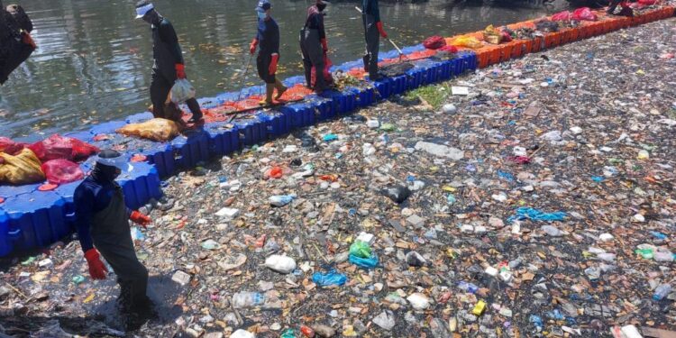 Kebiasaan Ikan Makan Plastik Picu Kepunahannya di Kali Surabaya