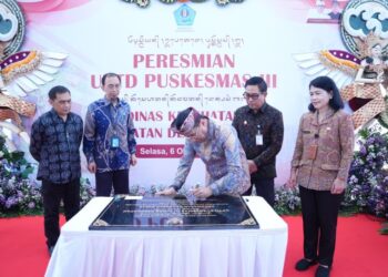 Pemerintah Janji Renovasi dan Bangun Ribuan Puskesmas Mulai Tahun Depan