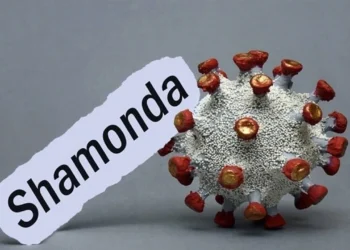 Apa Itu Virus Shamonda, Sebaran, dan Gejalanya